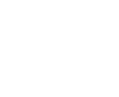 camel transport service
